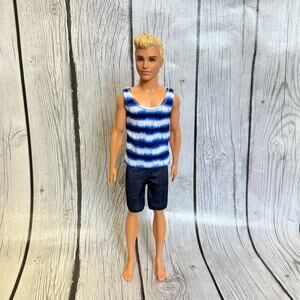 2018 Mattel Barbie Ken Laundry Play